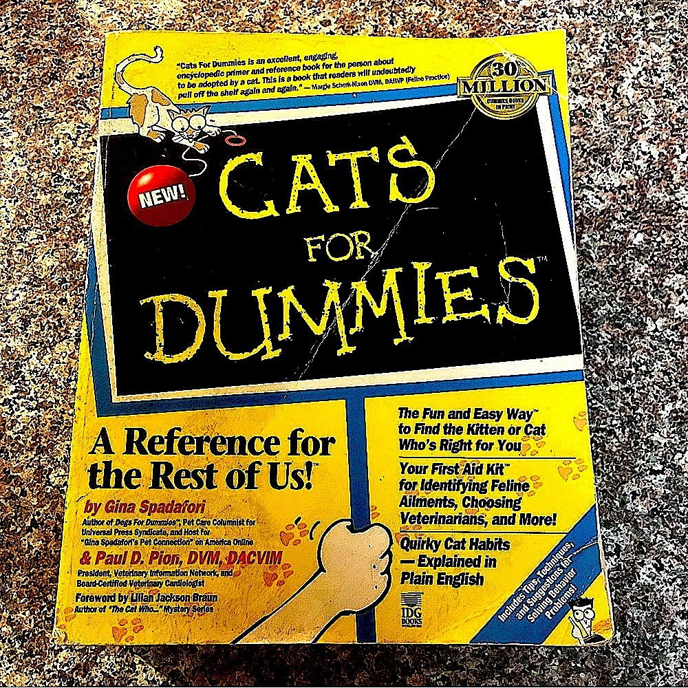 $3 if bundled! Cats for Dummies book. Purchase w/2 + items from my closet